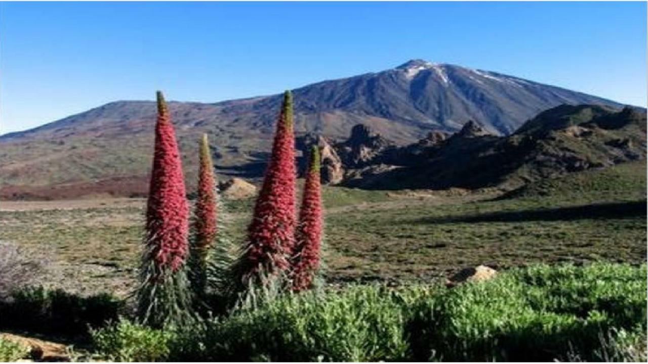 Apartamento Primavera Costa Del Silencio Kültér fotó
